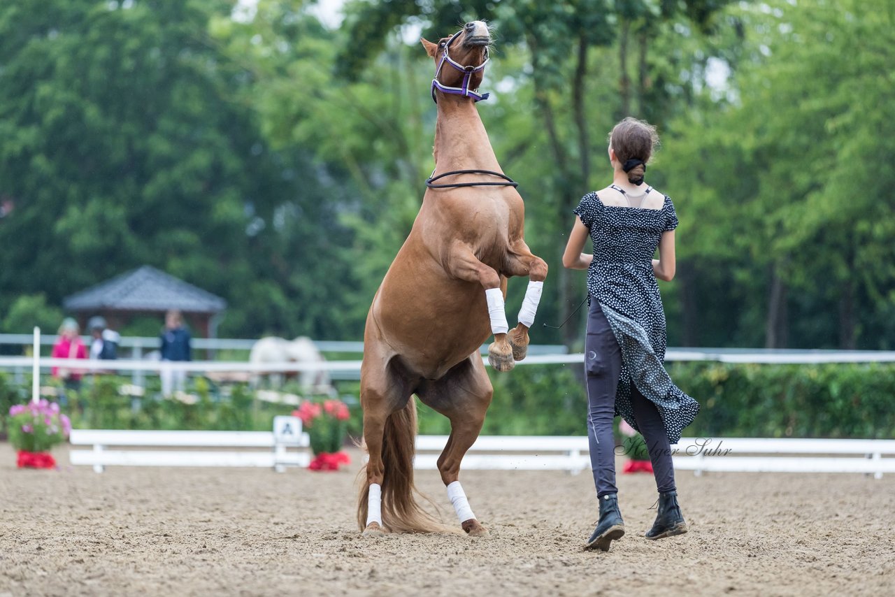 Bild 162 - Pony Akademie Turnier